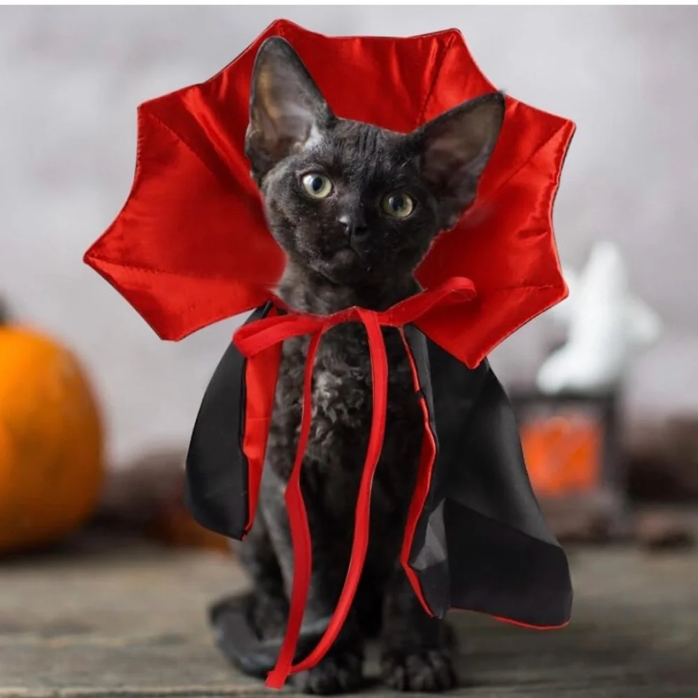 Vampire Bat Cat or Small Dog Costume Red/Black Satin by Ablaze Zai NEW